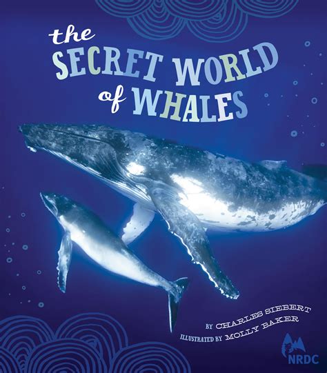 the secret world of whales the secret world of Reader